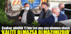 Çaykur, günlük 11 bin ton yaş çay alımına ulaştı