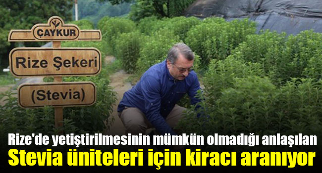 Stevia üniteleri için kiracı aranıyor