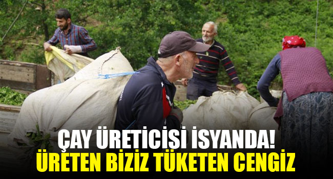 Çay üreticisi isyanda: Üreten biziz, tüketen Cengiz!