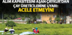 Alım kapasitesini aşan ÇAYKUR’dan üreticilere uyarı: Acele etmeyin!