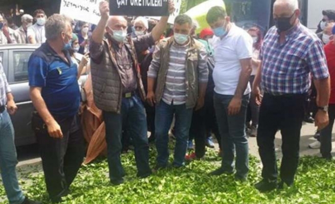 Çay üreticilerinin kota tepkisi: Çayı yola döktüler