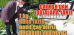 ÇAYKUR: ”1kg fazla çay nasıl alırız hesabını yapıyoruz”