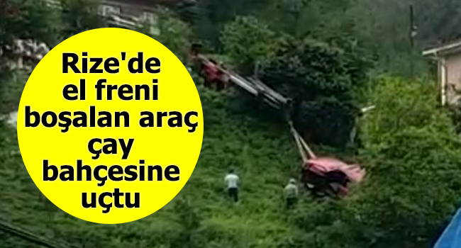Rize’de el freni boşalan araç çay bahçesine uçtu
