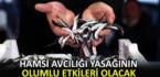 ”Hamsi avcılığına getirdiğimiz kısıtlamanın olumlu etkileri önümüzdeki yıllarda görülecek”