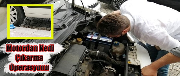 Motordan kedi çıkarma operasyonu