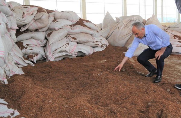 ÇAY ÇÖPÜNDEN MANGAL KÖMÜRÜ ÜRETİM TESİSİ’NDE ÇALIŞMALAR DEVAM EDİYOR