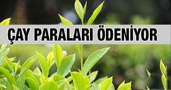 Temmuz Ayı Paraları Bugün Üreticinin Hesabında