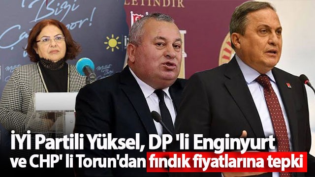 İYİ Partili Yüksel, DP ‘li Enginyurt ve CHP’ li Torun’dan fındık fiyatlarına tepki