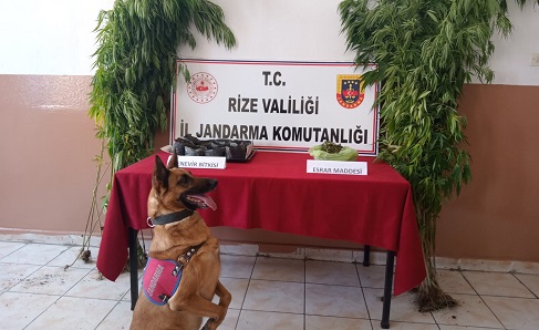 Rize’de Jandarma uyuşturucuya geçit vermiyor