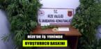 Rize’de iş yerine uyuşturucu baskını
