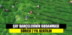 Çay bahçelerinin budanması projesinin süresi 7 yıl uzatıldı