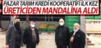 PAZAR TARIM KREDİ KOOPERATİFİ MANDALİNA ALIMINA BAŞLADI