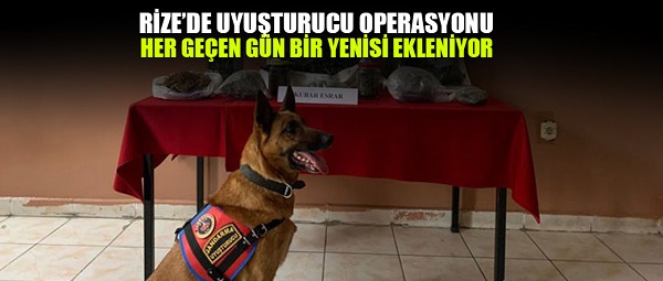 Pazar’da Uyuşturucu Operasyonu