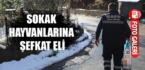 SOKAK HAYVANLARINA ŞEFKAT ELİ…