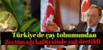 Türkiye’de çay tohumundan zeytinyağı kalitesinde yağ üretildi