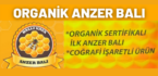 Organik Anzer Balı