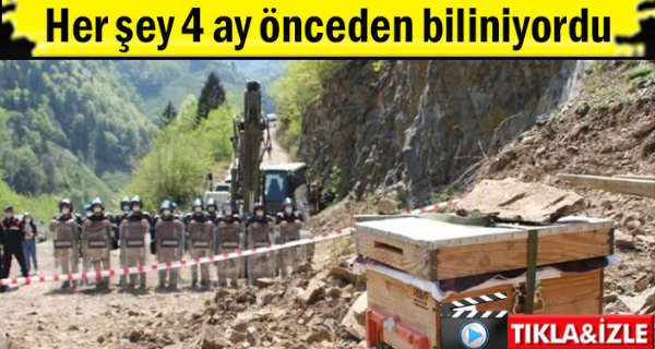 İkizdere’de taş ocağı nedeniyle arıların öleceği 4 ay önce raporlandı