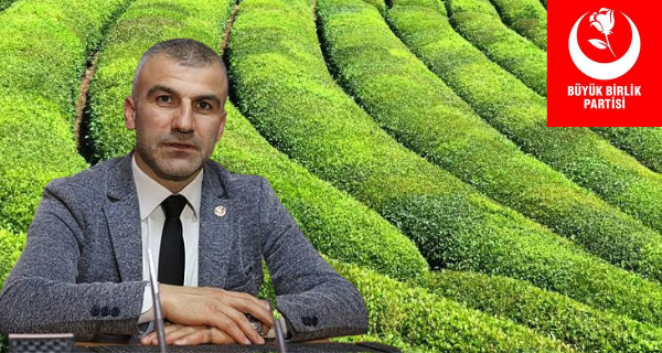 Özçelik: Yaş çaya 7-8 TL arasında bir fiyat verilmeli