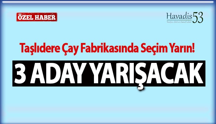 Pazar Taşlıdere çay fabrikasında 3 aday yarışacak
