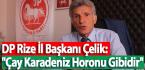 DP Rize İl Başkanı Çelik”Çay Karadeniz Horonu Gibidir”