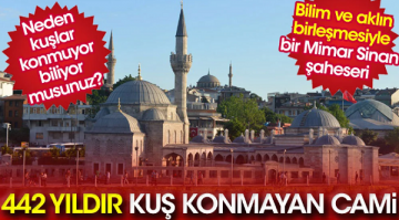 Bilim ve aklın birleşmesiyle bir Mimar Sinan şaheseri: 442 yıldır kuş konmayan cami