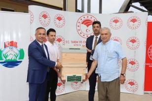 Rize’de Arıcılara Bin 341 Adet Kovan Dağıtıldı