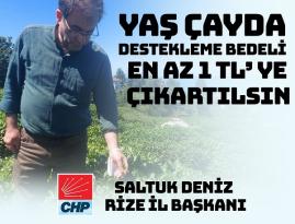 CHP Rize İl Başkanı Saltuk Deniz: “YAŞ ÇAYDA DESTEKLEME BEDELİ EN AZ 1 TL’YE ÇIKARTILSIN”