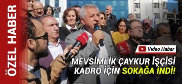 Mevsimlik Çaykur işçisi kadro için meydana indi