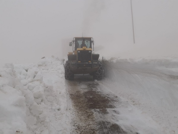 2500 rakımlı yayla yolu ulaşıma açıldı