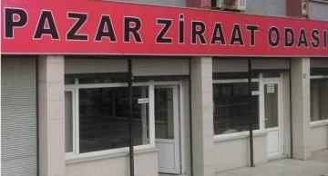 Pazar Ziraat Odası’ndan çay uyarısı