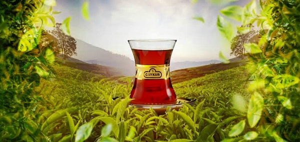 ÇAYKUR 3.SÜRGÜN YAŞ ÇAY ALIMLARINA BAŞLADI