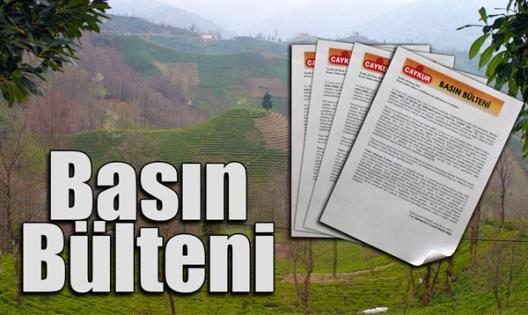 ÇAYKUR’da 27 Haziran itibarıyla 1. sürgün yaş çay kampanyası sona erdi